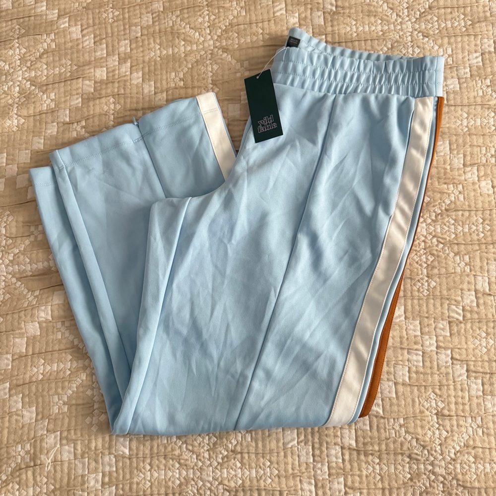 Wild Fable Light Blue and White Track Pants - Picture 8 of 9